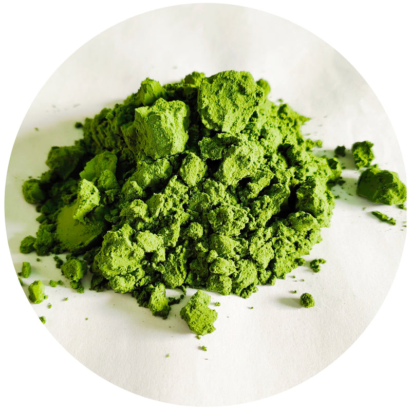 Fucoxantina, extrato de algas castanhas em pó verde