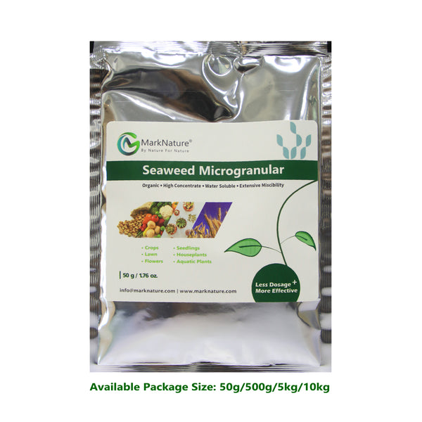 Extrait d'algue micro granulaire, stimulateur de croissance biologique